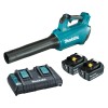 Makita 18V Blower Kit - DUB184PT2