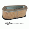 Air Filter - Briggs and Stratton 496894S