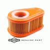 Air Filter - Briggs and Stratton Cartidge