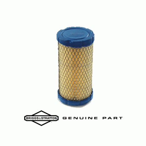 Air Filter - Briggs and Stratton 793569