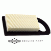 Air Filter - Briggs and Stratton 794421