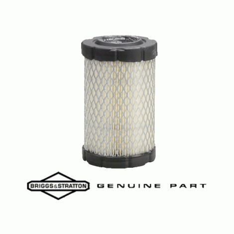 Air Filter - Briggs and Stratton 796031