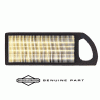 Air Filter - Briggs and Stratton 797008