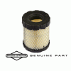 Air Filter - Briggs and Stratton 798897