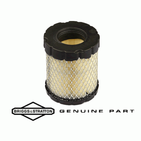 Air Filter - Briggs and Stratton 798897