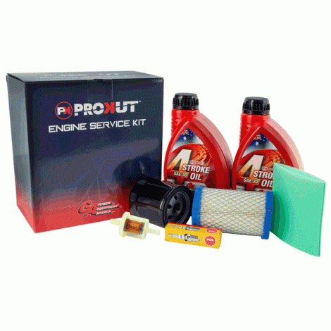 Engine service kit - Briggs and Stratton Intek