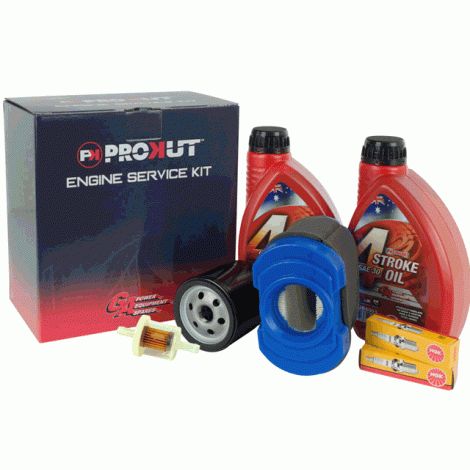 Engine service kit - Briggs and Stratton Intek