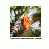 Stihl HT 135 telescopic Pole Saw